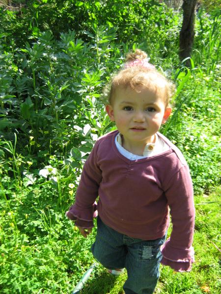 SARAH l'ange gardien